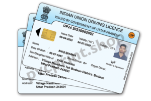 Driving Licence photo