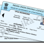 Driving Licence without Chip Card