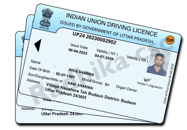 Driving Licence without Chip Card