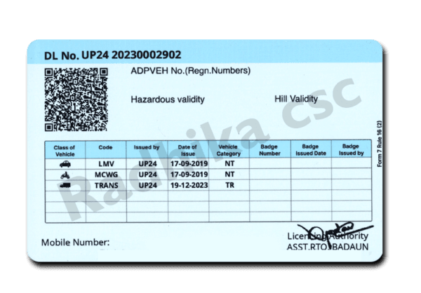 Driving Licence without Chip Card