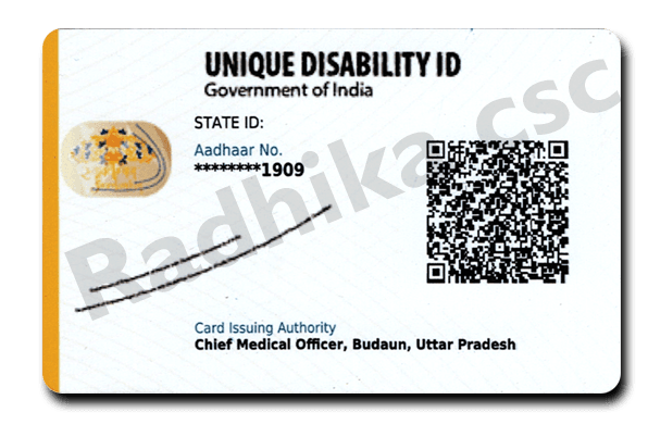 PVC UDID Card